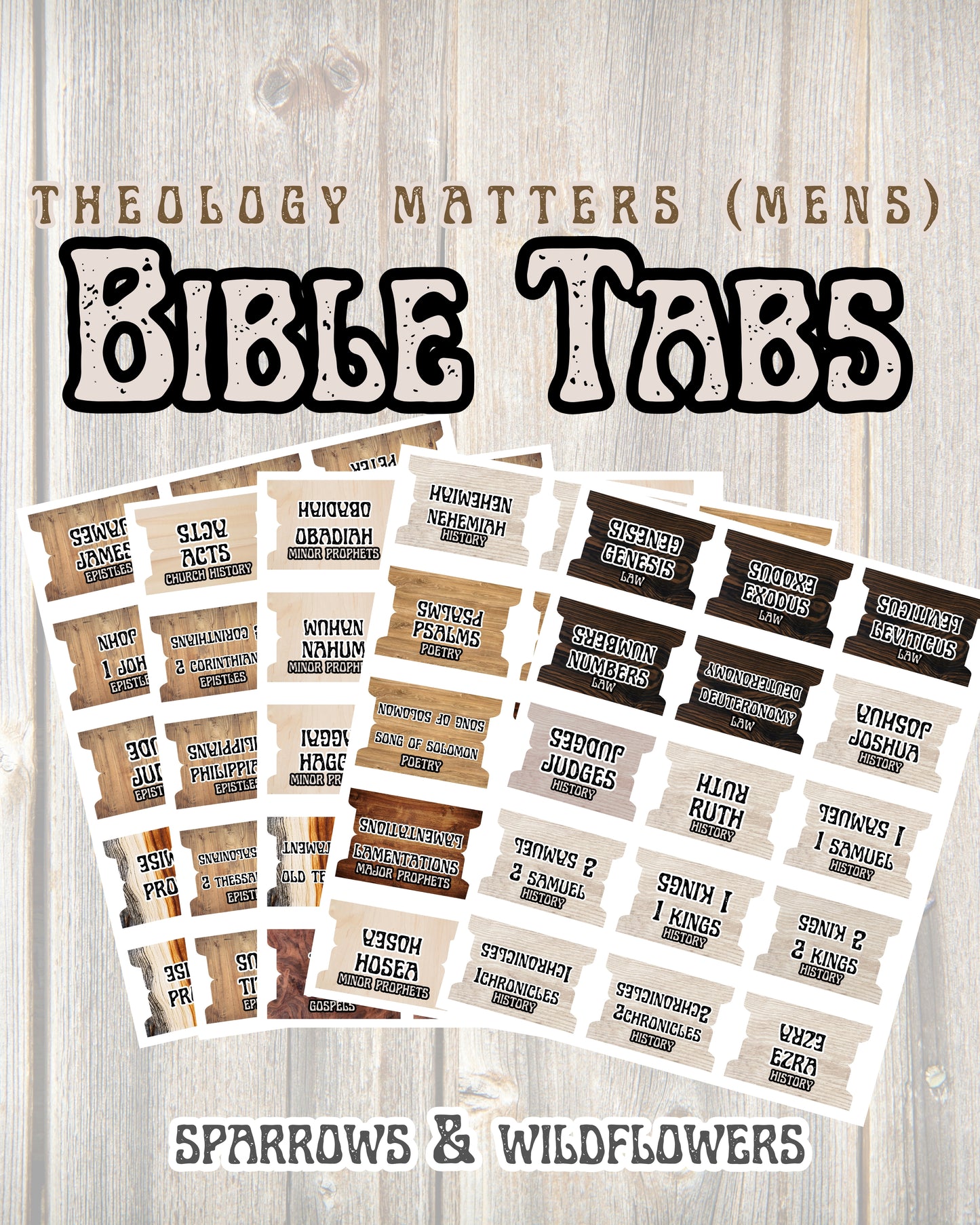 Bible Tabs - Theology Matters (Men’s)