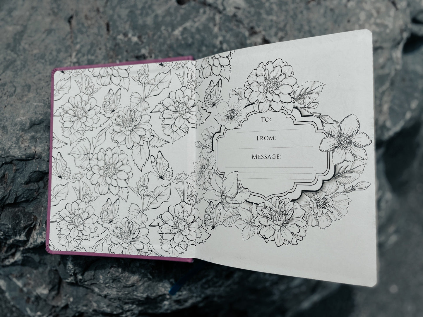 The One Year Bible | NLT