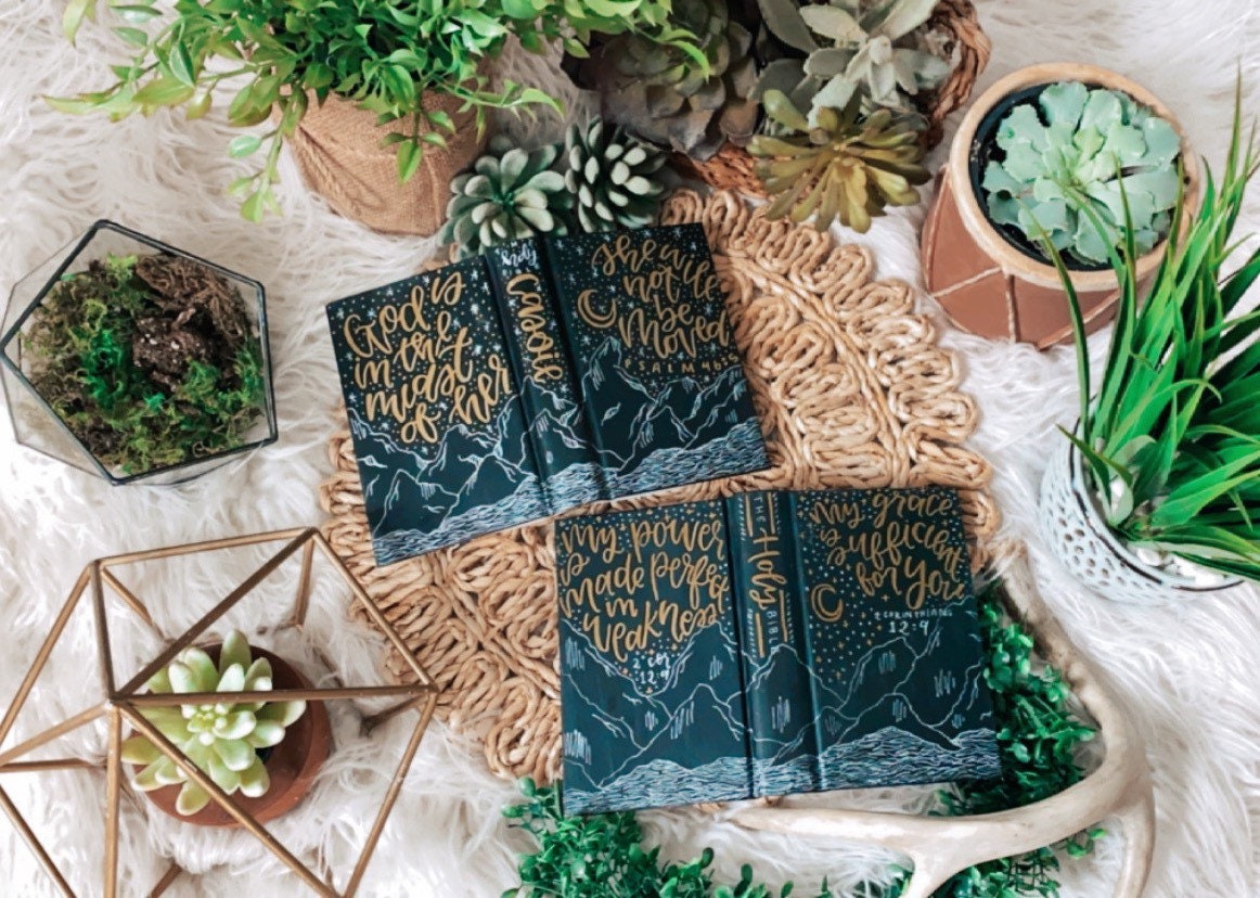 The Adam Bible | Hand Painted Journaling Bible
