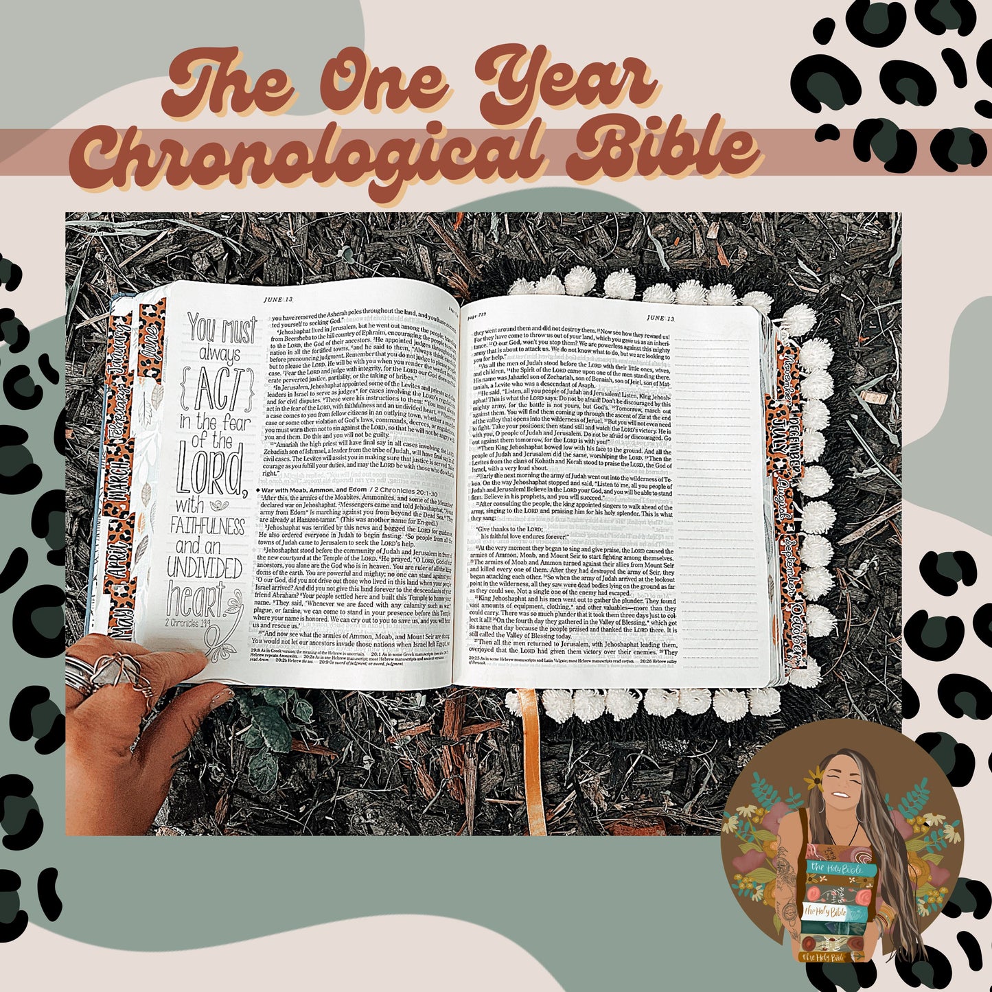 The One Year Chronological Bible