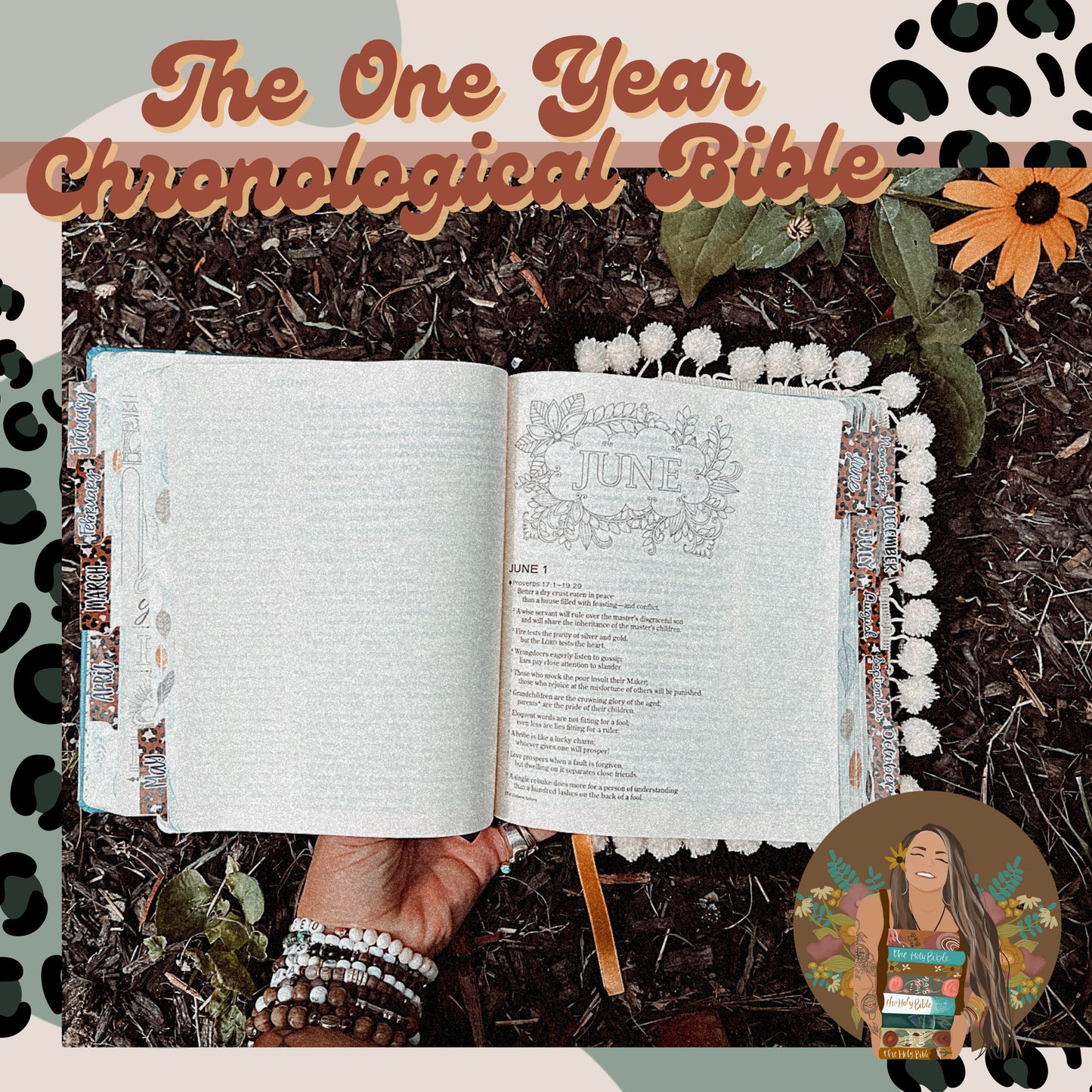 The One Year Chronological Bible