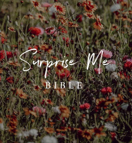 SURPRISE ME! Bible