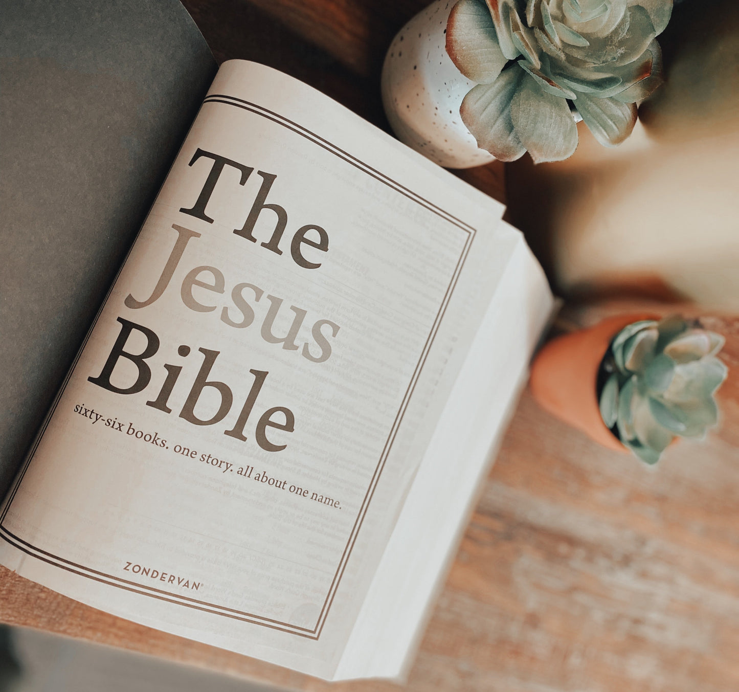 The Jesus Bible | Customizable & Hand Painted | NIV or ESV