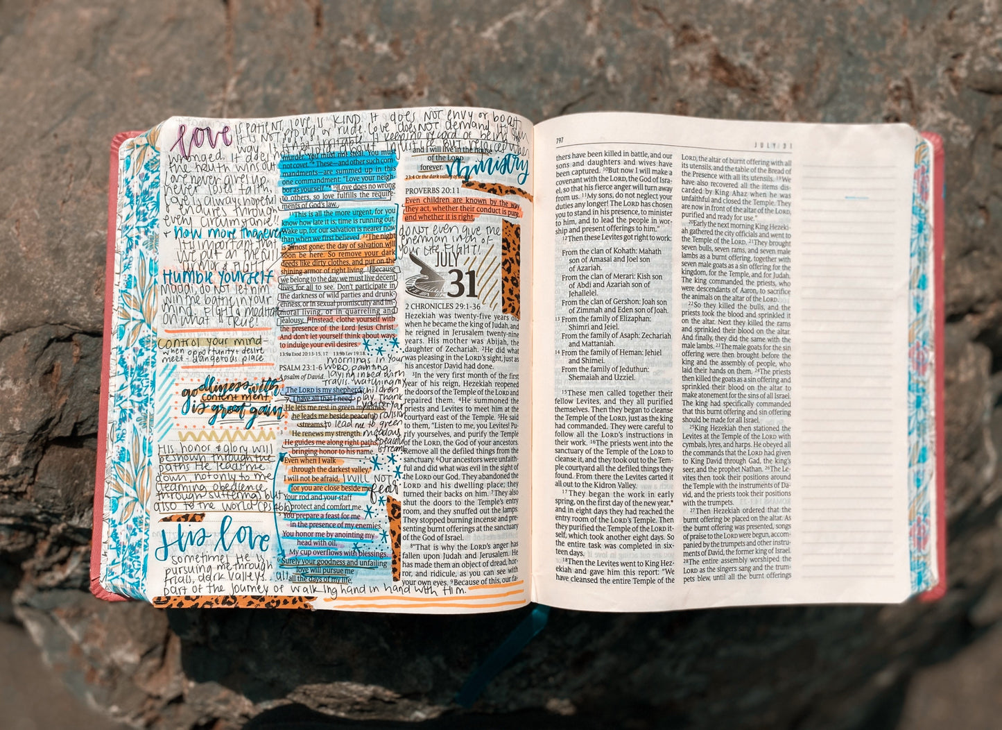 The One Year Bible Expressions NLT | Customizable | Hand Painted