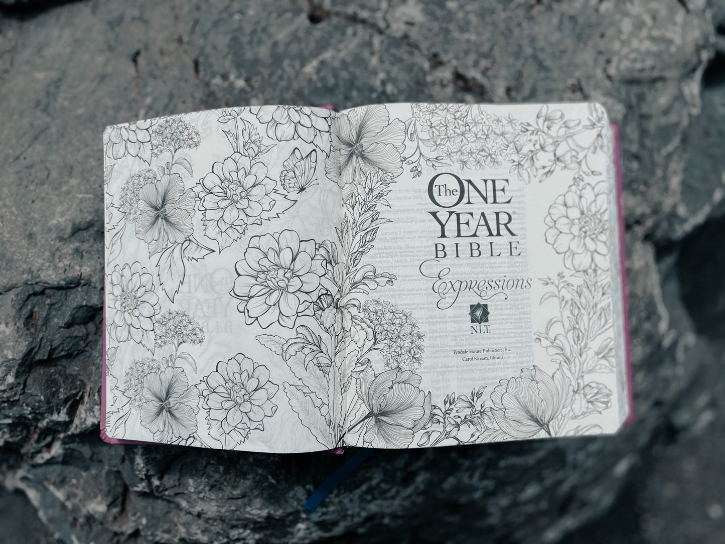 The One Year Bible Expressions NLT | Customizable | Hand Painted