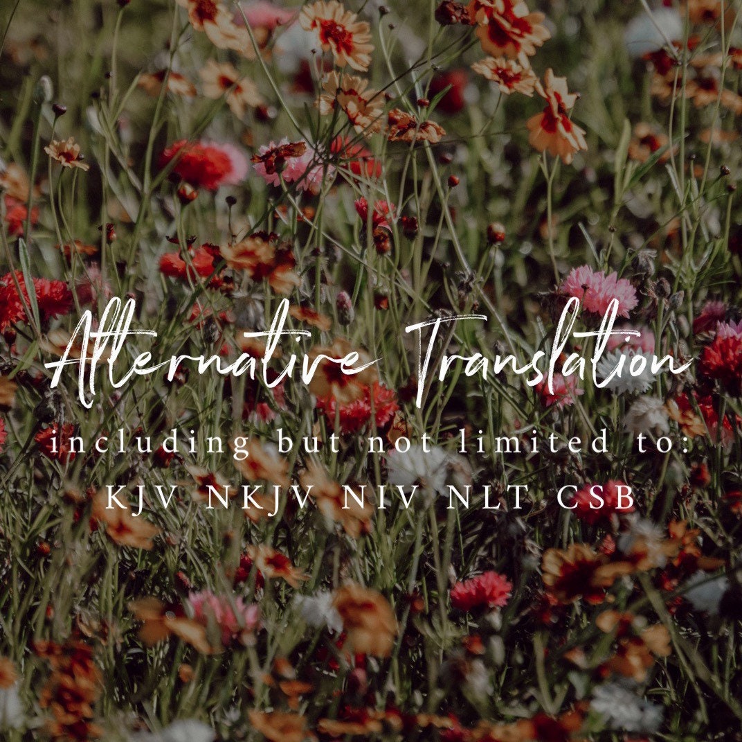 Alternative Bible Translation