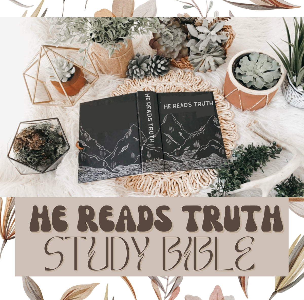Truth Rising Bible Study He Reads Truth CSB Study Bible – Sparrows & Wildflowers